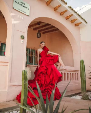 Vestido inspirado en las rosas.